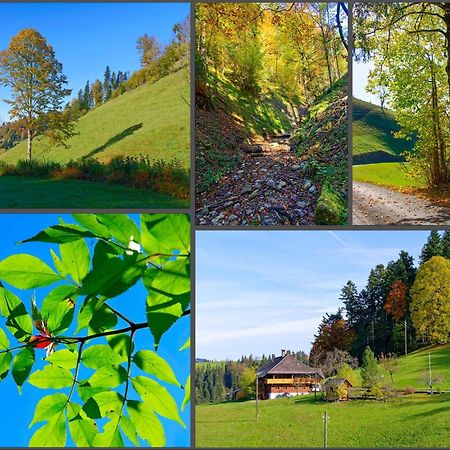 Emmental Ferien Apartment Langnau Luaran gambar