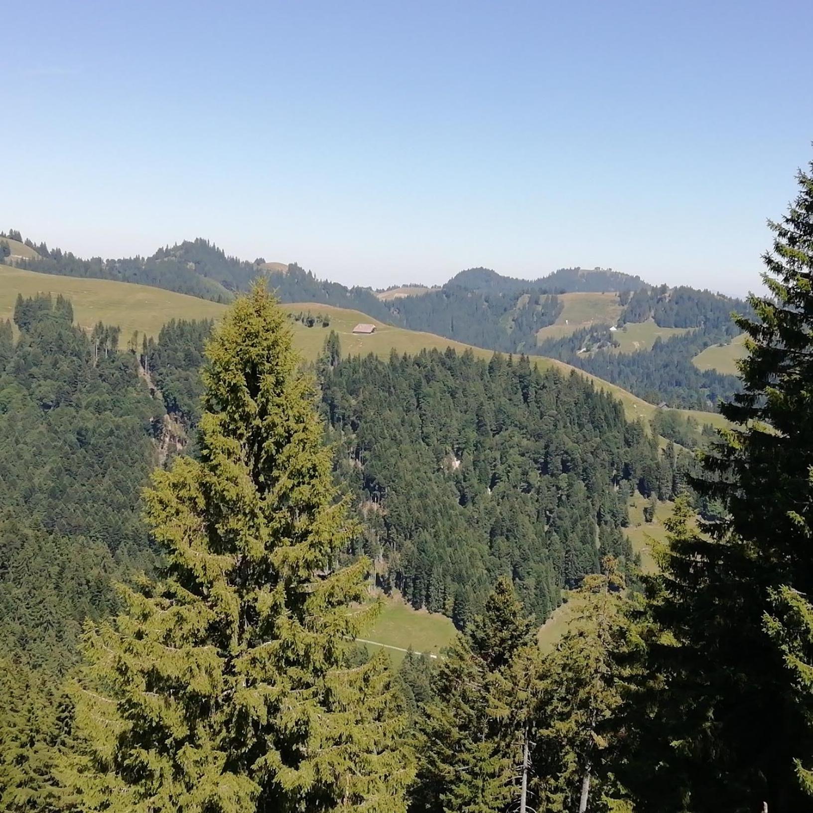 Emmental Ferien Apartment Langnau Luaran gambar