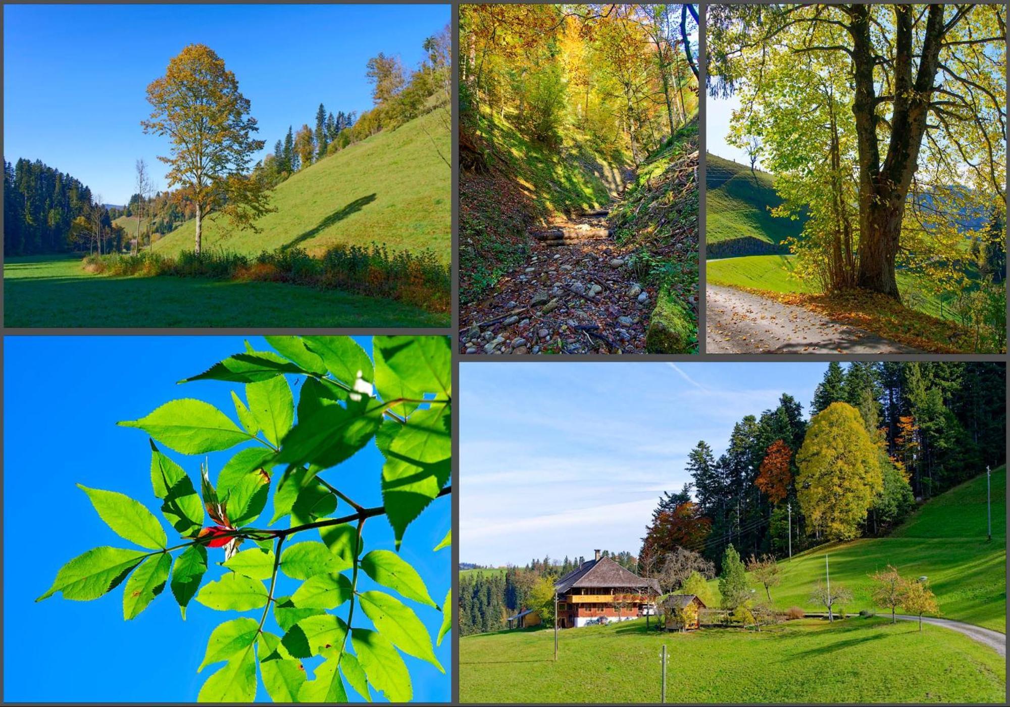 Emmental Ferien Apartment Langnau Luaran gambar