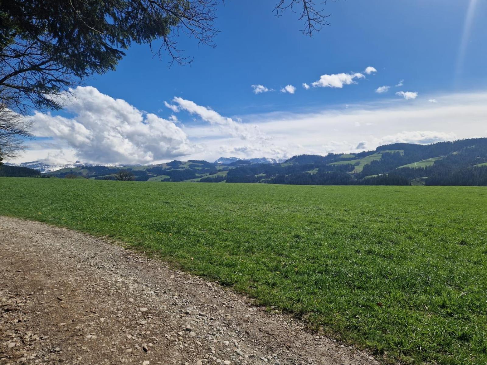 Emmental Ferien Apartment Langnau Luaran gambar
